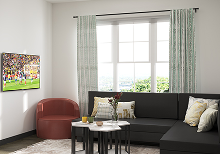 furnished living room