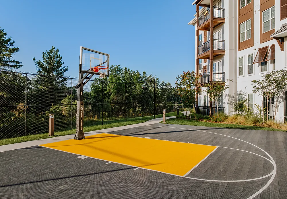 basketball court